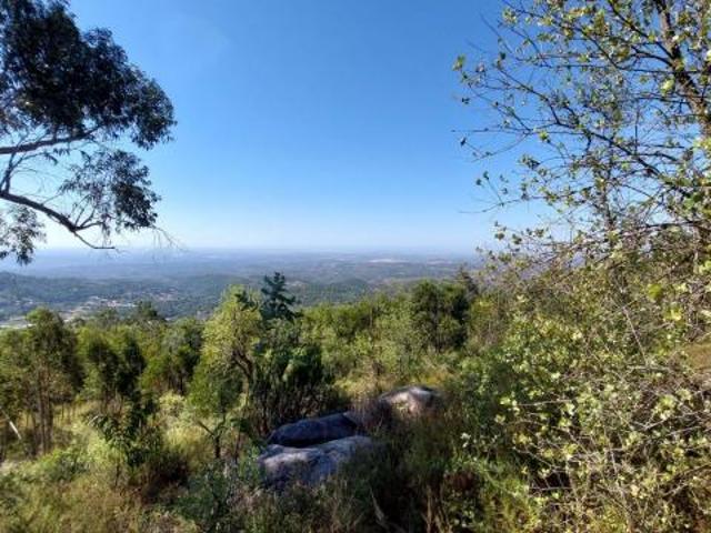 Terreno venda em Monchique, Faro