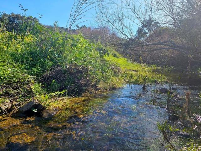 Terreno venda em Monchique, Faro
