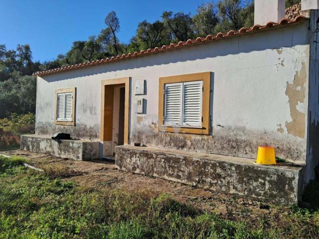 Terreno venda em Monchique, Faro