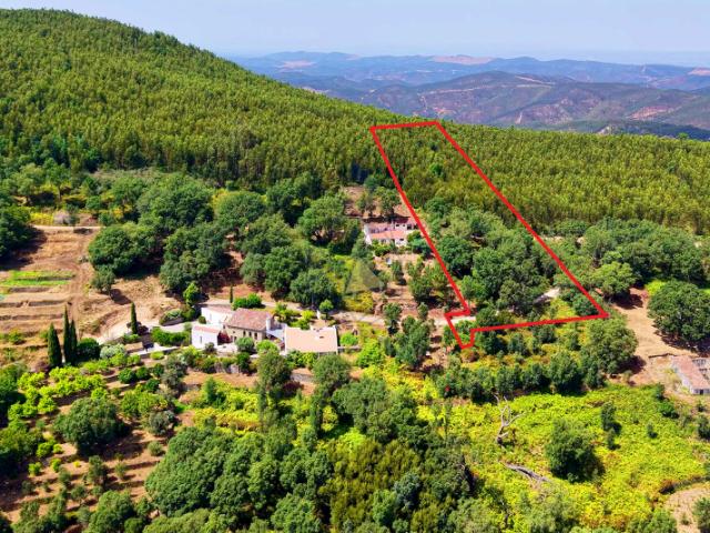 Terreno venda em Monchique, Faro