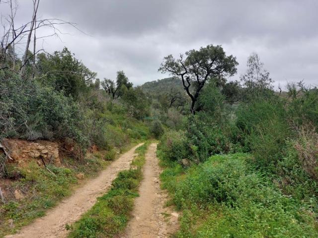 Terreno venda em Monchique, Faro