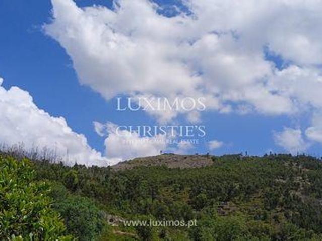 Terreno venda em Ceiceira, Monchique