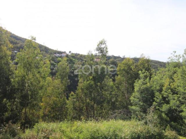 Terreno venda em Monchique, Faro