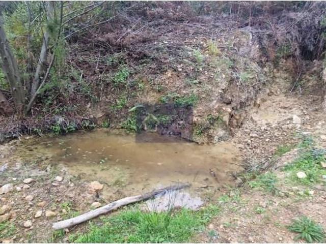 Terreno venda em Monchique, Faro