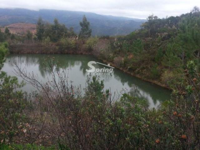 Terreno venda em Monchique, Faro
