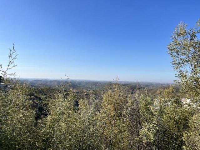 Terreno venda em Monchique, Faro