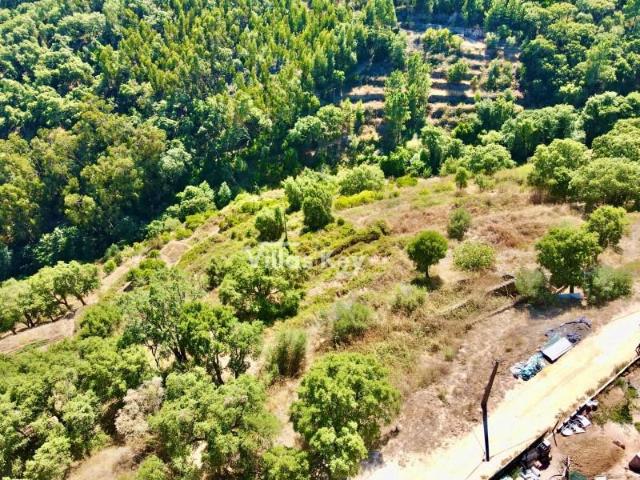 Terreno venda em Monchique, Faro