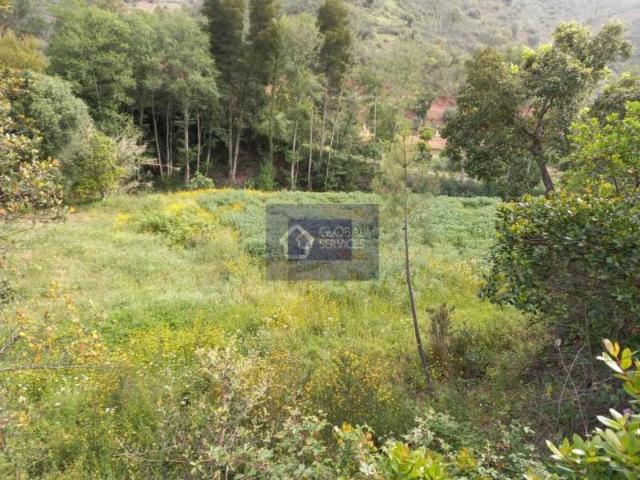 Terreno venda em Monchique, Faro
