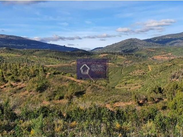 Terreno venda em Monchique, Faro