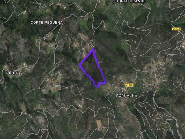 Terreno venda em Monchique, Faro