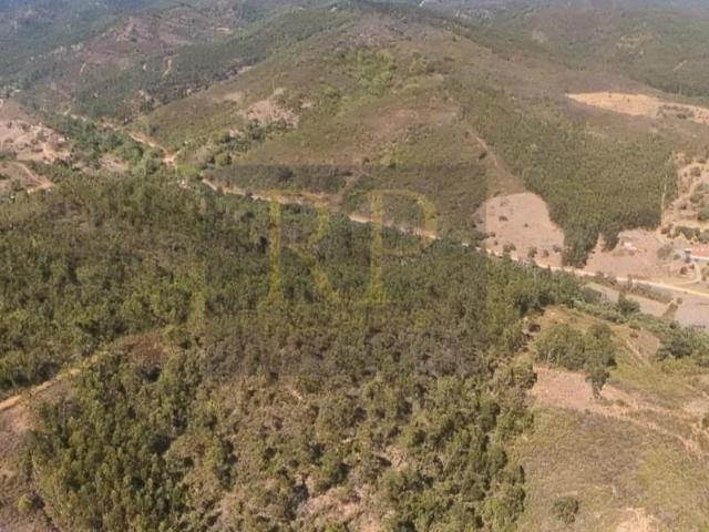 Terreno venda em Monchique, Faro