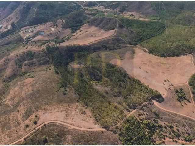 Terreno venda em Monchique, Faro