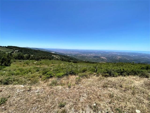 Terreno venda em Monchique, Faro