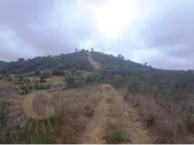 Terreno venda em Monchique, Faro