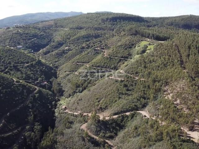 Terreno venda em Monchique, Faro