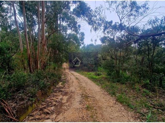 Terreno venda em Monchique, Faro