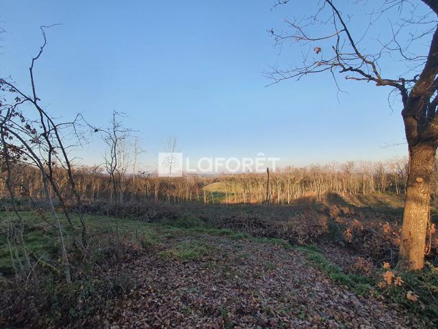 Terrain vente à Montauban, Monclar-de-quercy