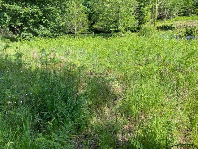 Terreno en venta en Mondariz