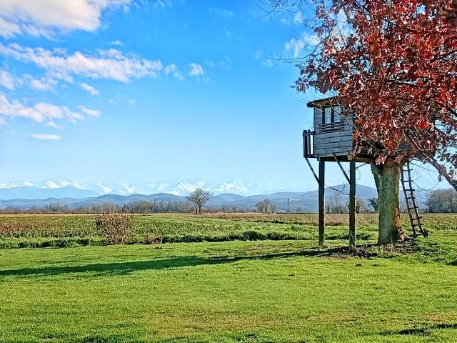 Maison vente à Muret, Mondavezan