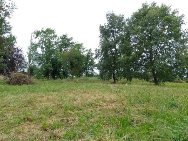 Terrain vente à Muret, Mondavezan