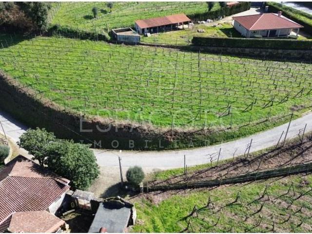 Terreno venda em Mondim De Basto, Vila Real