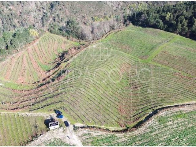 Terreno venda em Mondim De Basto, Vila Real