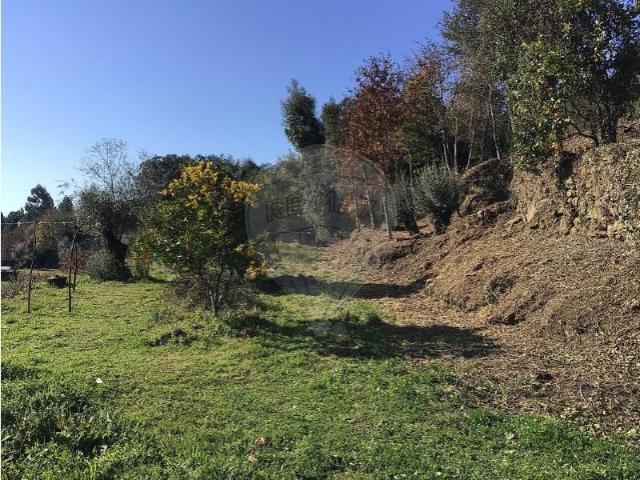 Terreno venda em Mondim De Basto, Vila Real