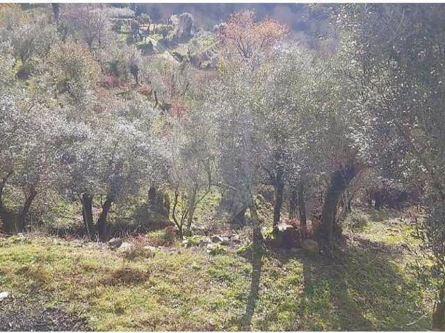Terreno venda em Mondim De Basto, Vila Real