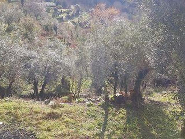 Terreno venda em Mondim De Basto, Vila Real