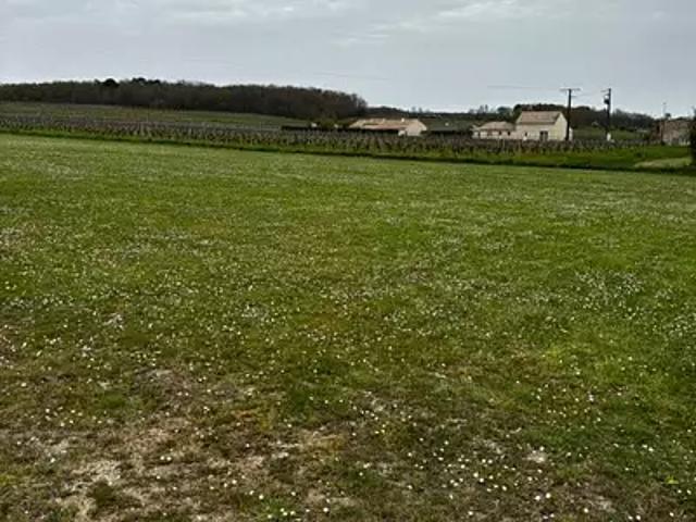 Terrain vente à Bergerac, Monestier