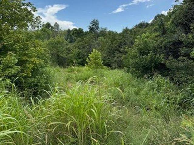 House for rent in Virginia
