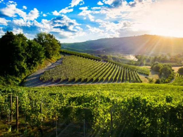 Terreno in vendita a Piemonte, Cuneo