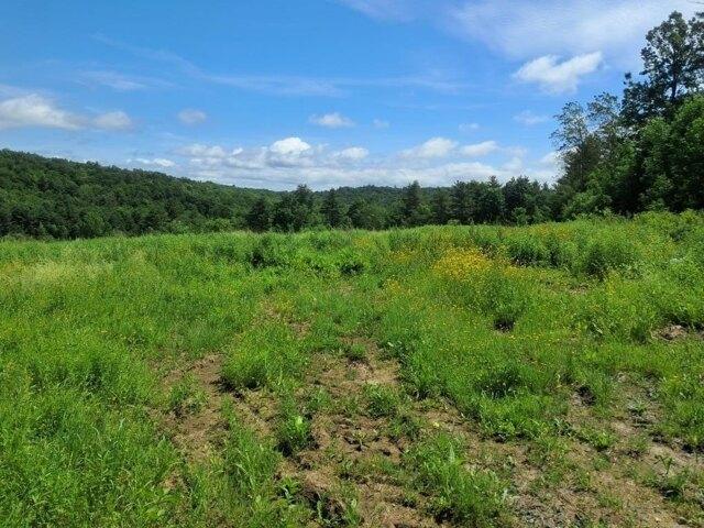 Land for sale in Vermont