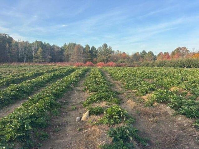 Land for sale in Monmouth, Maine