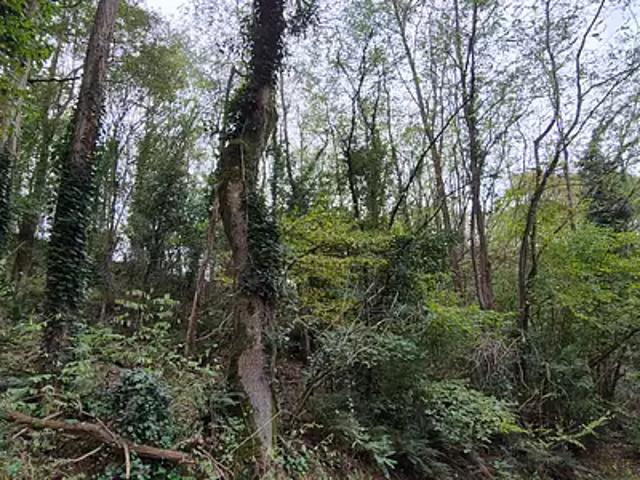 Terrain vente à France métropolitaine, Monnières