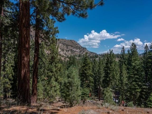Land for sale in June Lake, California