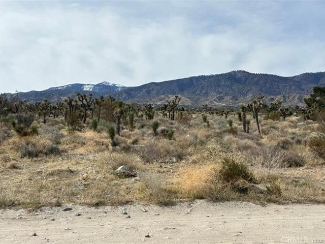 Land for sale in Pinon Hills, California