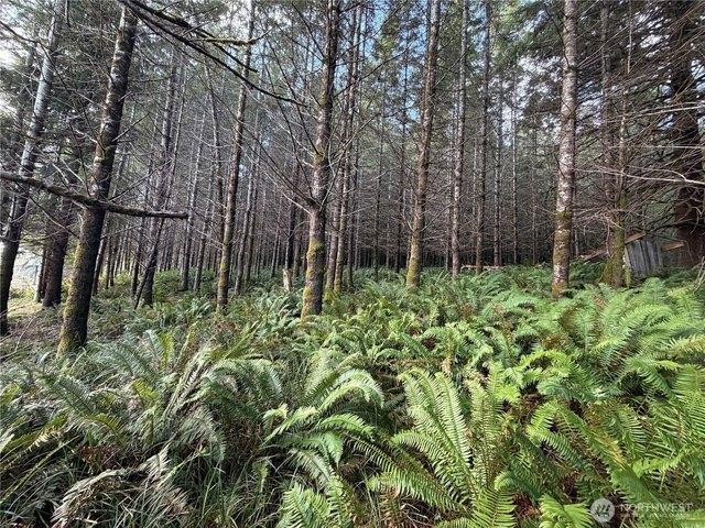 Land for sale in Raymond, Pacific County