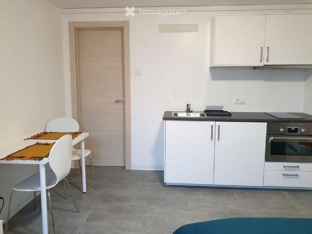 Apartment mieten in Capolago, Mendrisio