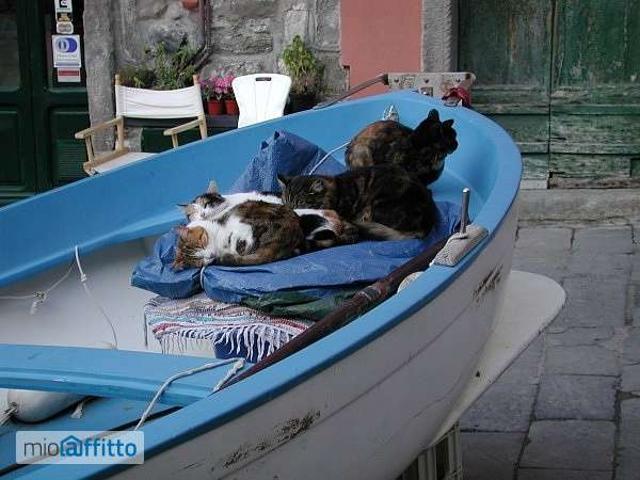 Appartamento in affitto a Vernazza, Liguria