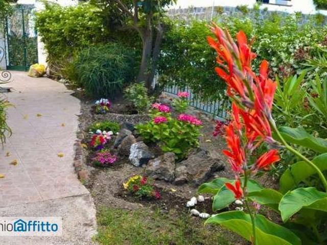Appartamento in affitto a Ischia, Campania