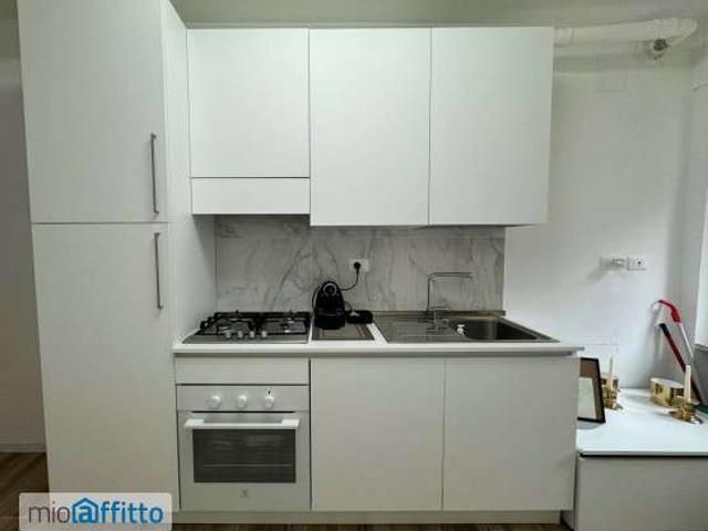 Appartamento in affitto a Borgo Ticino, Pavia