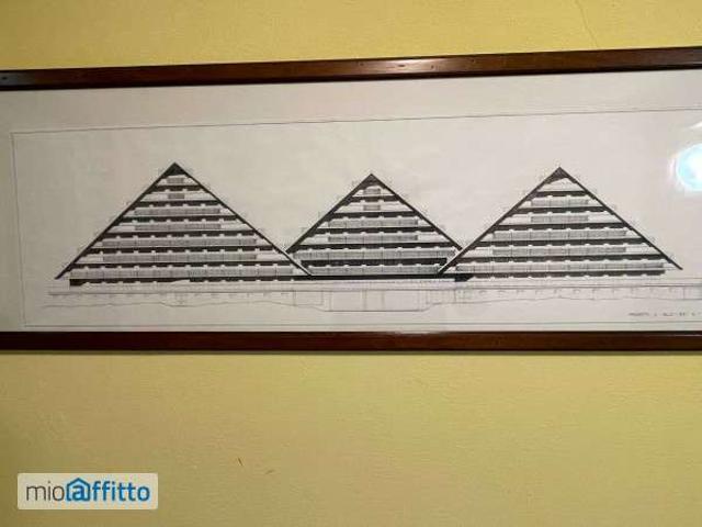 Appartamento in affitto a Borgo Stalle Lunghe, Piemonte