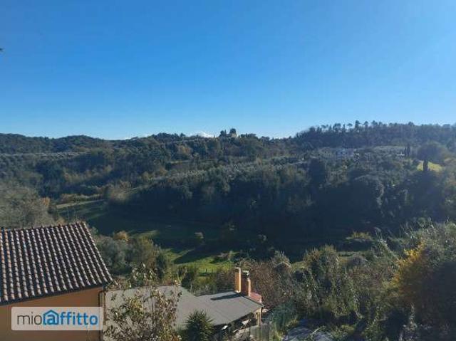 Appartamento in affitto a Montopoli In Val D'arno, Toscana