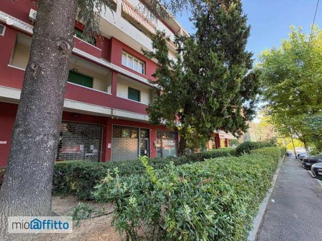 Appartamento in affitto a Monte Donato, Bologna