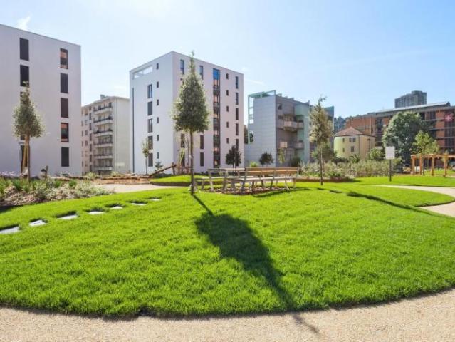 Apartment mieten in Molino Nuovo, Lugano