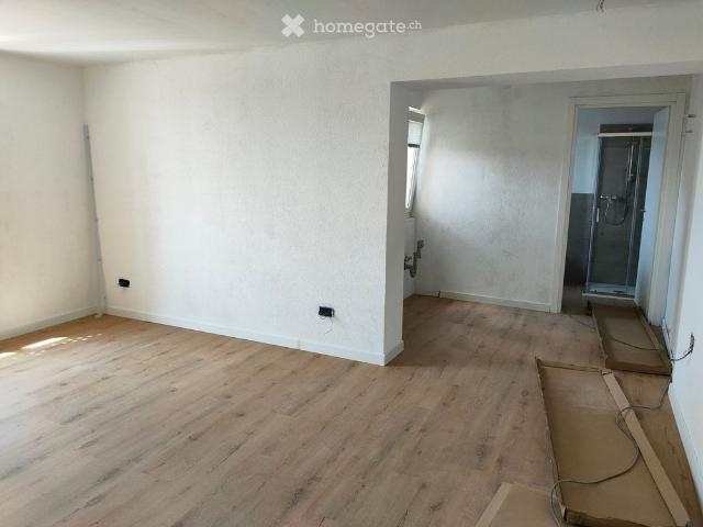 Apartment mieten in Salorino, Mendrisio