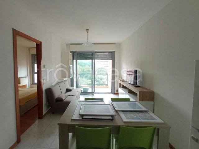 Monolocale in affitto a Cenerente, Umbria