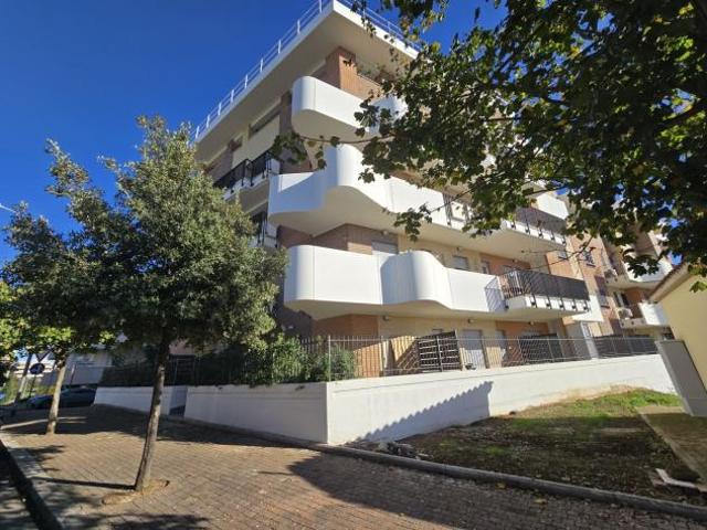 Monolocale in affitto a Roma Capitale, Lazio