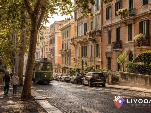 Monolocale in affitto a Municipio Roma II, Roma Capitale